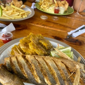 pescado frito u deditos de pescado y pollo