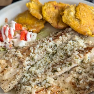 pescado al ajillo