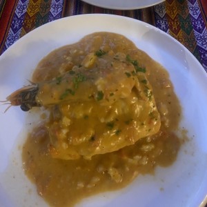 Corvina Guna Yala - Guna Yala Sea Bass