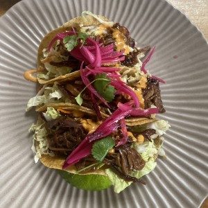 Tacos de brisket