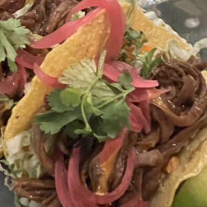 Tacos de Brisket