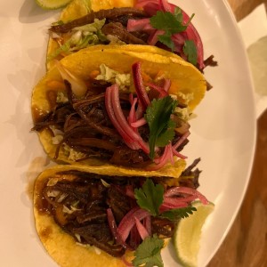 tacos de brisket 