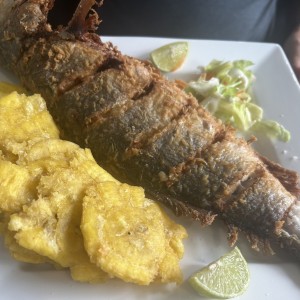 Pescado frito/a lo macho