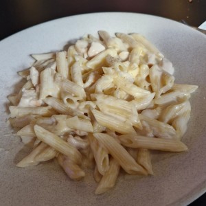 penne alfredo con pollo