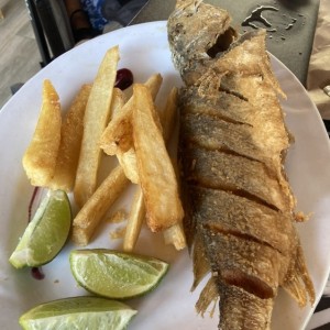 PESCADOS-FISH - Corvina frita