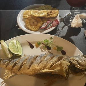 PESCADOS-FISH - Corvina frita