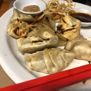 dumplings variados