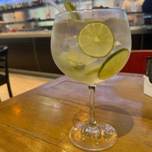 Gin and Tonic Tanqueray 