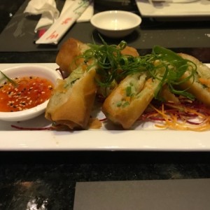 Entradas Calientes - Spring rolls