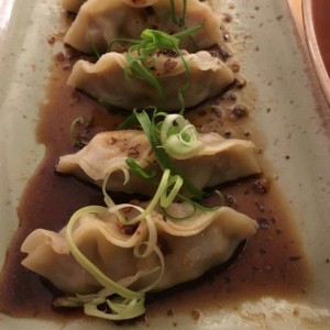 Handmade Dumplings