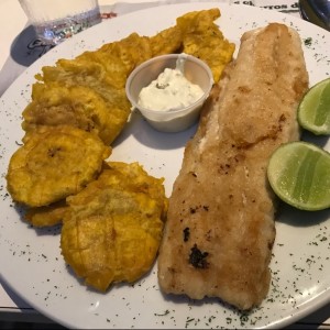 filete de corvina