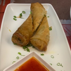 Spring roll de vegetales