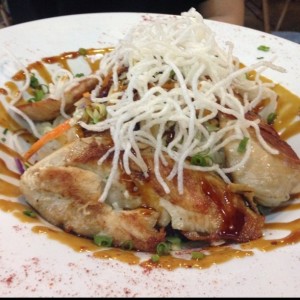 Deliciosos teriyakis - Teriyaki de pollo