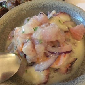 ceviche galactico