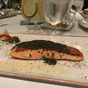 salmon