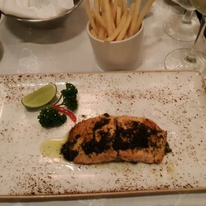 Salmon