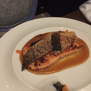 salmon 