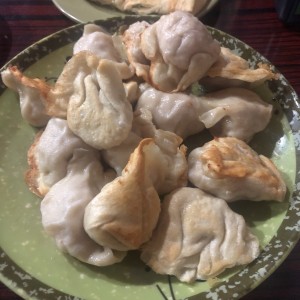 dumpling pollo