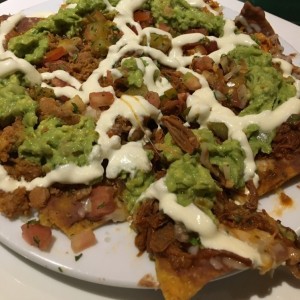 Nachos especiales 