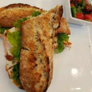 PANINIS - Ferretti