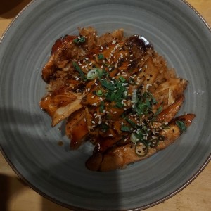 Carne - Pollo Teriyaki