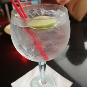 gin tonic