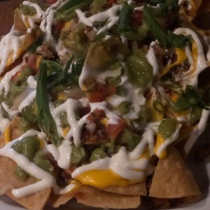 Nachos de Carne