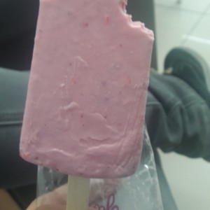 Paleta Gourmet