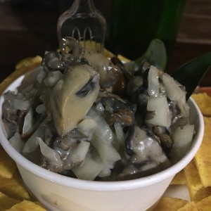 ceviche de concha con salsa de coco 
