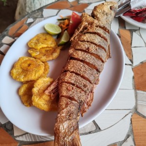 Mariscos - Corvina Frita (Entera)