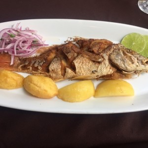 pargo frito (sin harina) y papas