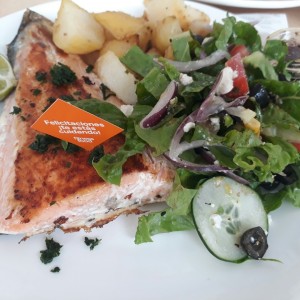 Salmon