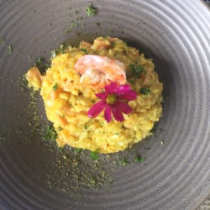 Risotto de salmon