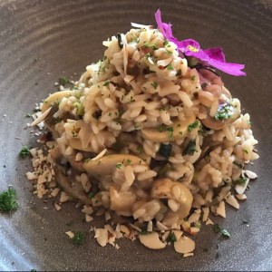 Risotto De Hongos 