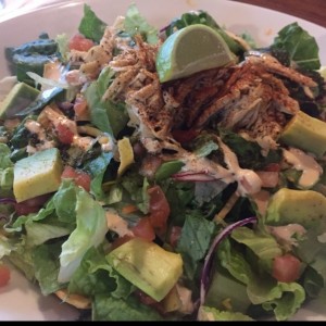 Yucatan Chipotle Chicken Salad