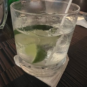 Gin and Tonic 