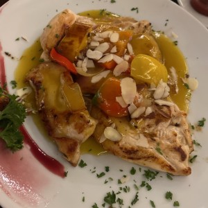 Pollo salsa mango