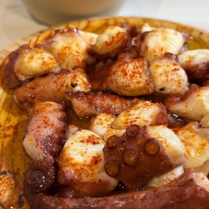 Pulpo