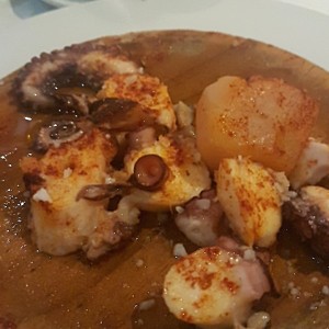 Pulpo