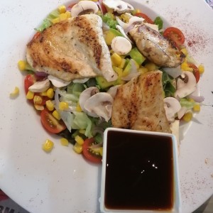 Frescas Ensaladas - Teriyaki Salad