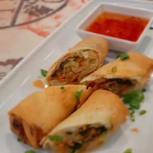 spring rolls de vegetales