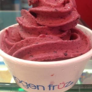 Yogen Frutos del Bosque