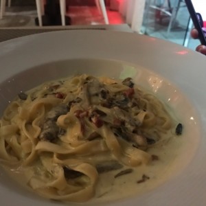 pasta con hombro y salda alfredo 