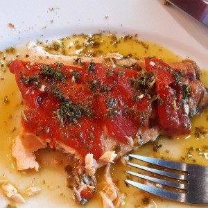 salmon 