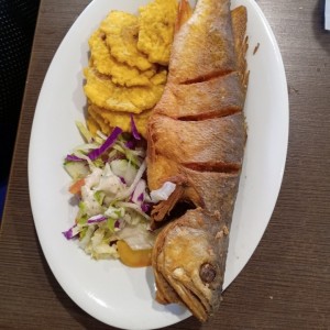 Corvina Entera Frita o en Salsa Criolla