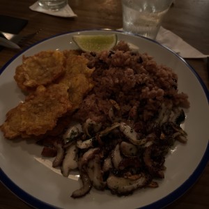 Pulpo
