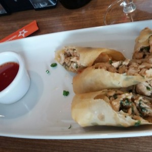 Spring roll de pollo