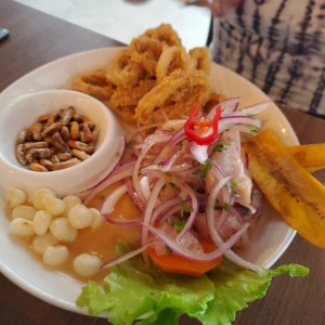 Ceviches & Tiraditos - Ceviche Mixto