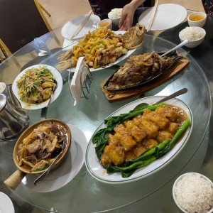 Tofu, carne, pescado, gallina y guacho
