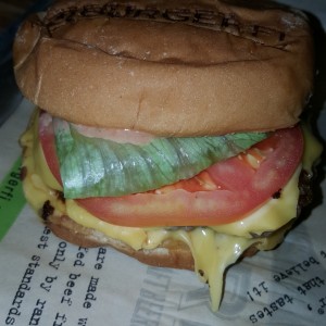 Burgerfi Cheeseburger